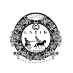 photo_2025-02-05_16-13-28